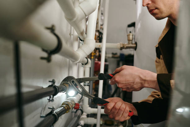 Best Emergency Plumber  in Braidwood, IL