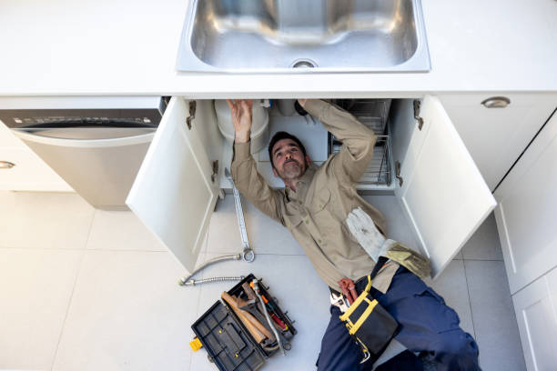 Best Drain Cleaning Services  in Braidwood, IL