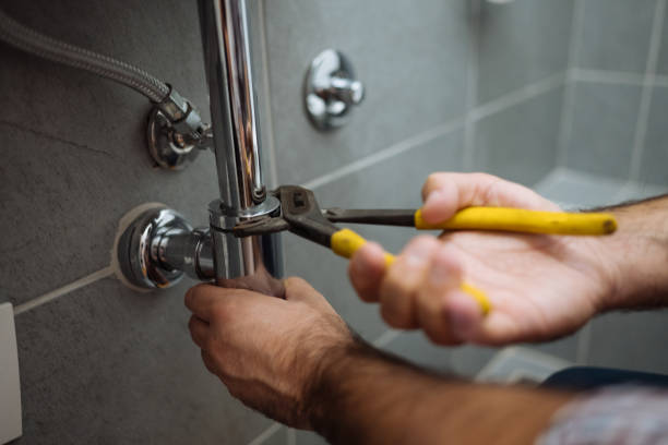 Best Clogged Drain Plumber  in Braidwood, IL