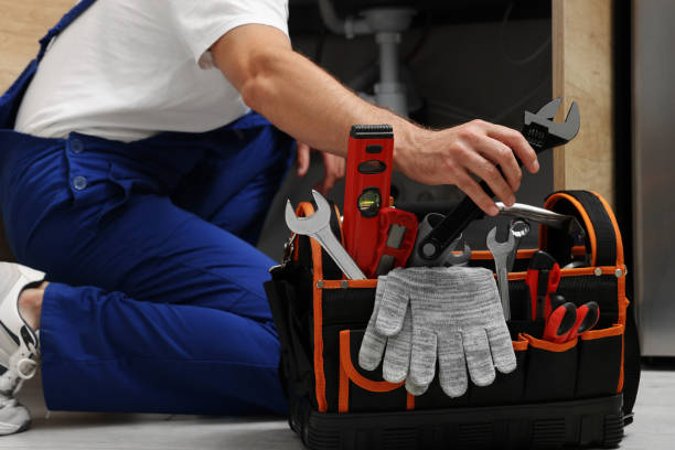 Best Residential Plumbing Services  in Braidwood, IL